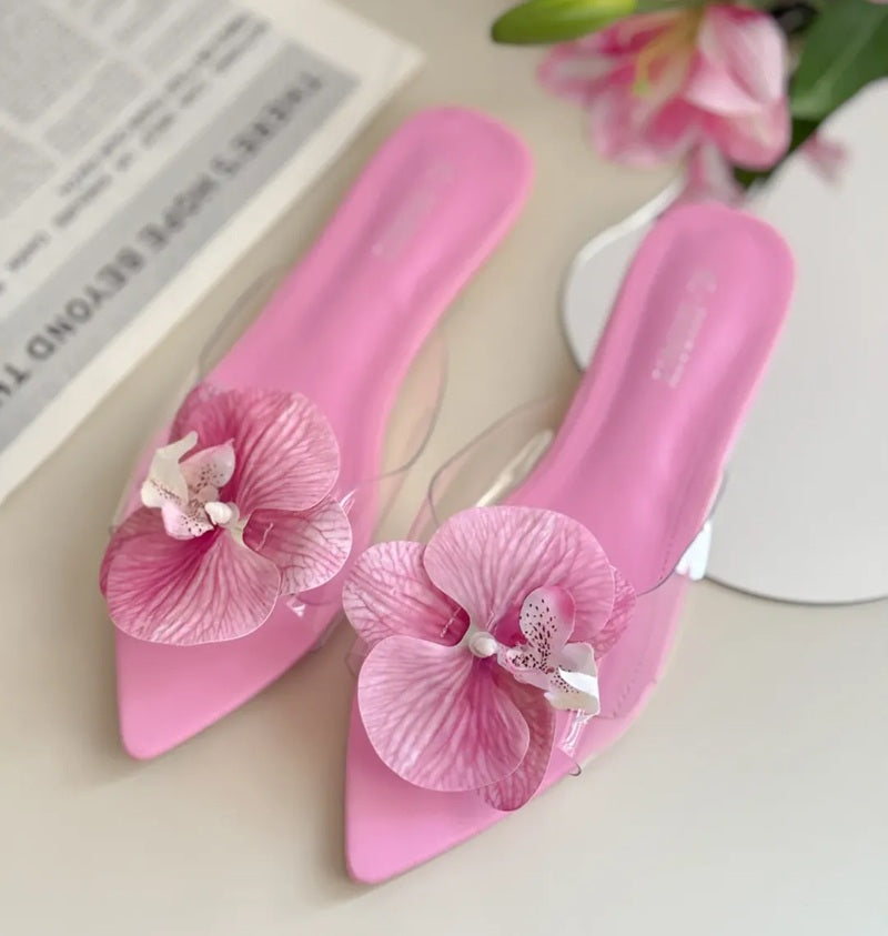 Phalaenopsis Petal Pointed Slippers