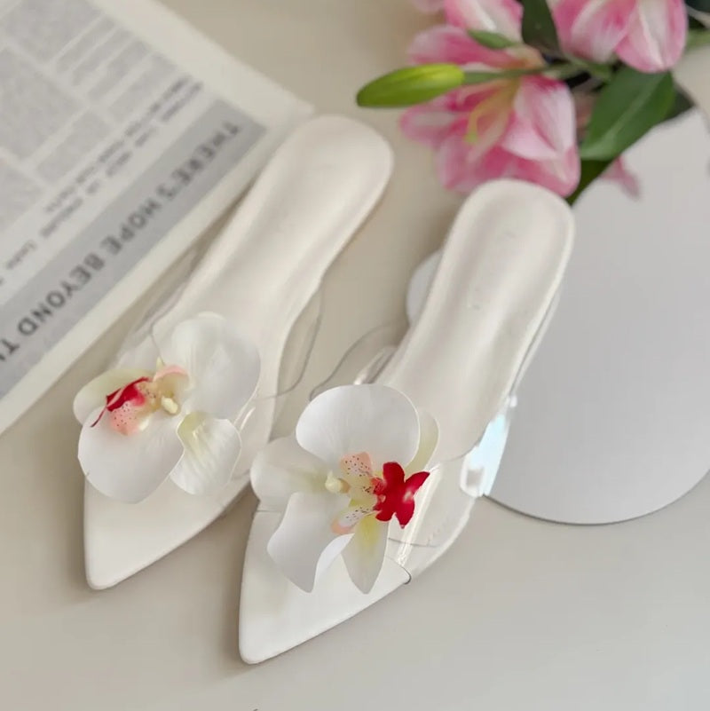 Phalaenopsis Petal Pointed Slippers