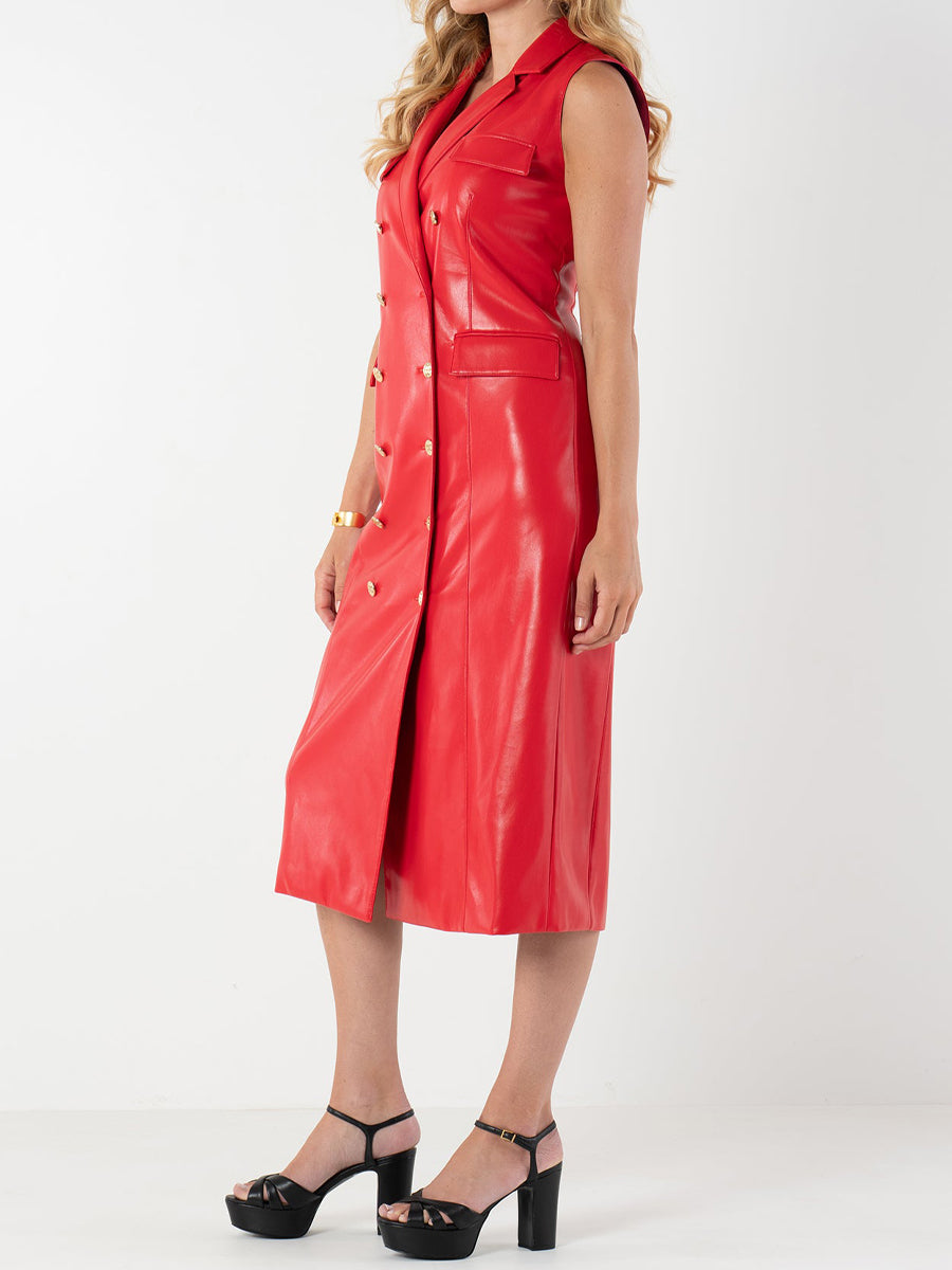 Notched Collar Double-breasted Dress