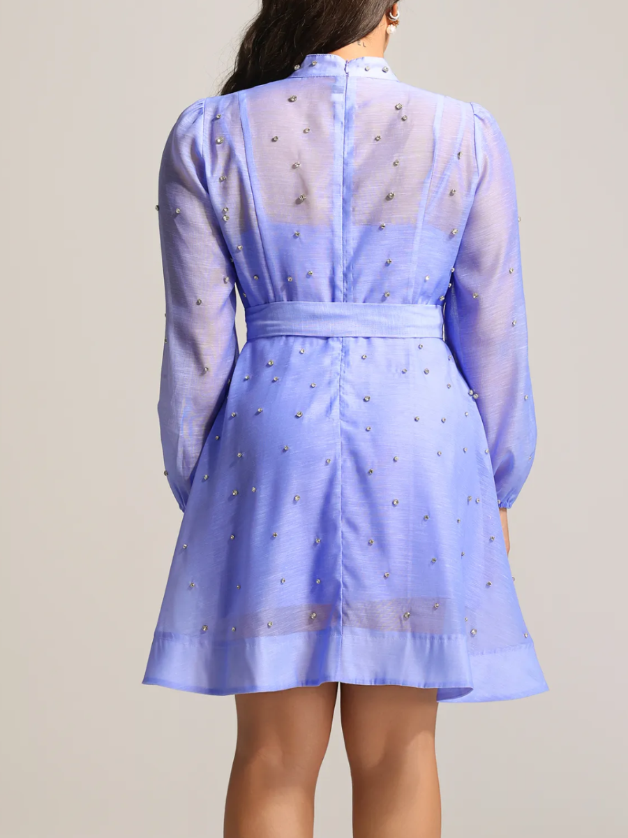 Nail Drill Long Sleeve Breasted Lantern Mini Dress