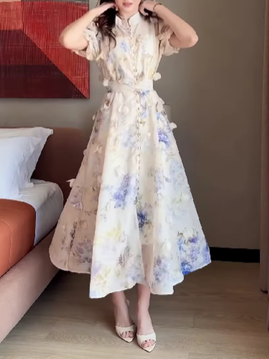 Printed Waisted Dress